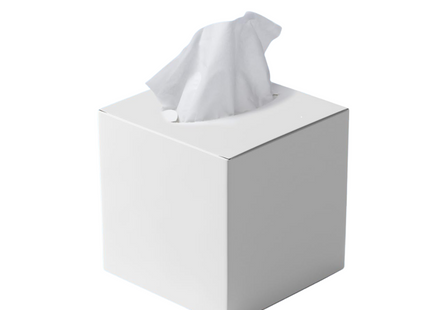 Boutique Facial Tissue 100 Sheetsx 2 Ply - 48 Boxes