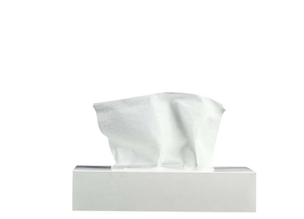 Facial Tissue Snow White 100 sheets 48 Packet