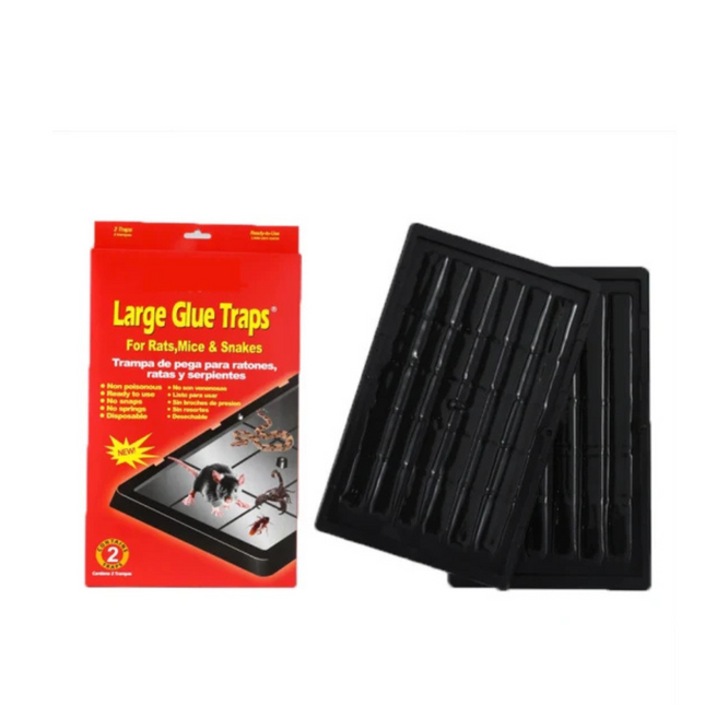 Expert Catch Large Glue Traps for Rats, Mice & Snakes - Pack 2 Traps