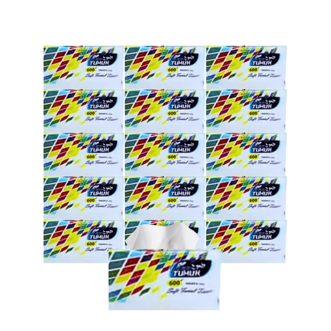 Tumuh Economy Facial Tissue 600 sheets