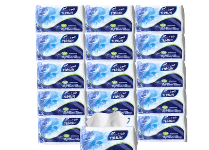 Facial Tissue Tumuh 500 sheets