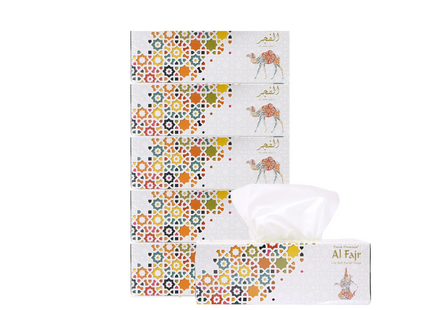 Al Fajr Facial Tissue 2 Ply, 200