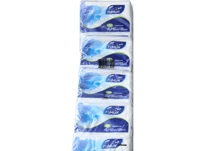 Facial Tissue Tumuh 500 sheets