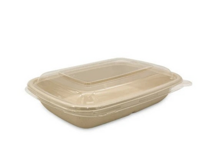 Bagasse Cont Rect 950 ML