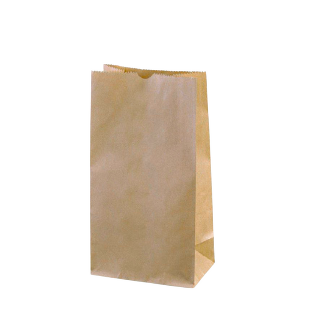 BAG TAKE-AWAY SOS BROWN L155 X W100 X H310MM