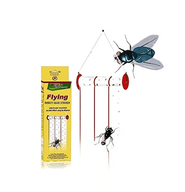 Flying Insect Glue Sticker