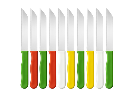Knife Set 10 Pcs - CT 1004