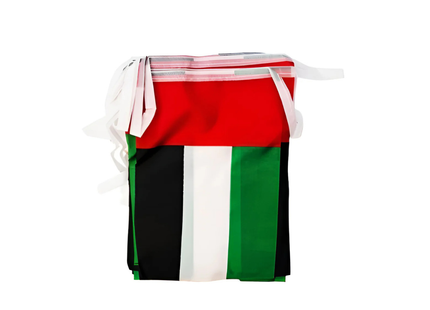UAE Flag Sets Small 14 x 21