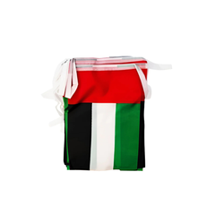 UAE Flag Sets Small 14 x 21