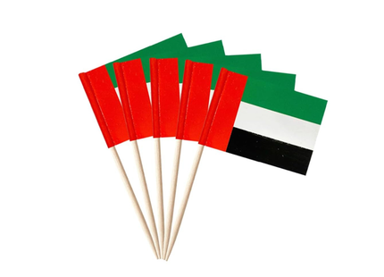UAE Flag Pick - 30 Pcs