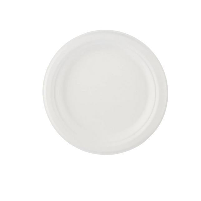 Biodegradable Plate 10 inch