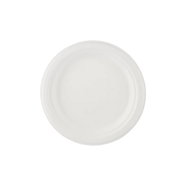 Biodegradable Plate 9 inch