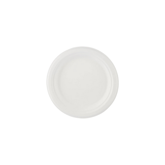 Biodegradable Plate 7 inch