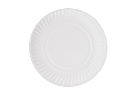 Paper Plate disposable 100 Pcs - 9 inch