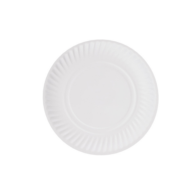 Paper Plate disposable 100 Pcs - 9 inch