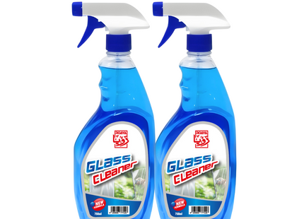 Roaya Glass Cleaner 750ml x 2