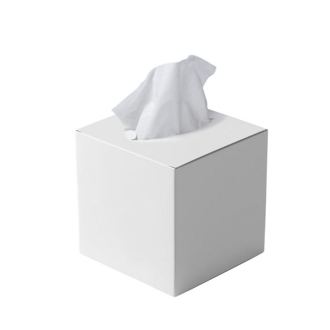 Boutique Facial Tissue 100 Sheetsx 2 Ply - 48 Boxes