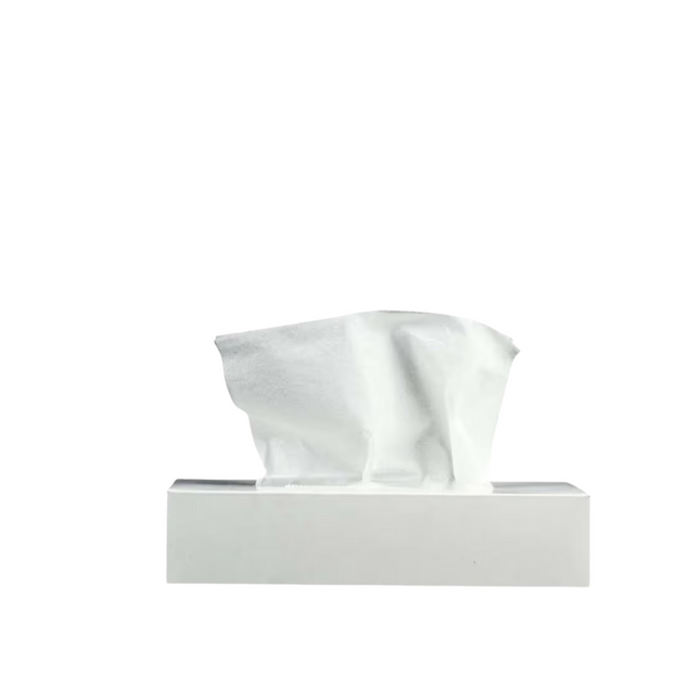 Facial Tissue Snow White 100 sheets 48 Packet